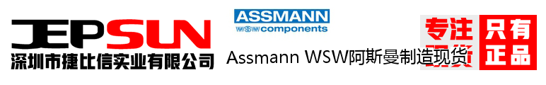 Assmann WSW阿斯曼制造现货